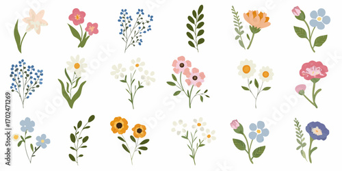 Collection of delicate hand drawn botanical illustrations of various flowers and greenery
