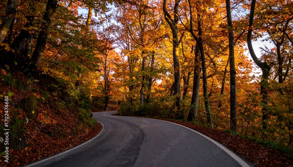 Fototapeta premium Winding road through colorful autumn forest