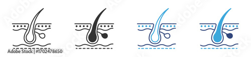 Detailed epiderm skin hair follicle icon set, hair follicle with stars around it and skin layers icons, vector illustration. 