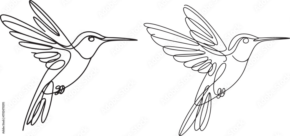 Fototapeta premium Continuous line art of hummingbird in flight, elegant minimal vector illustration