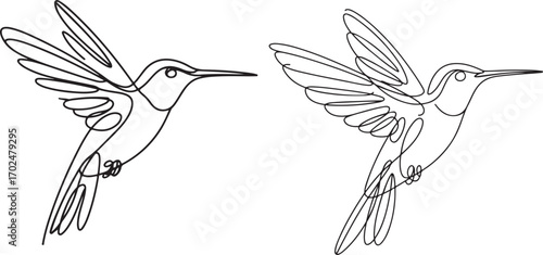 Continuous line art of hummingbird in flight, elegant minimal vector illustration