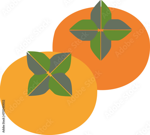 orange fruit vector illustration