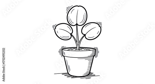 Hand-drawn Pilea peperomioides plant in a pot also known as the Chinese money plant.