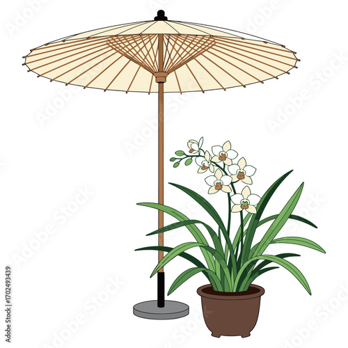 A traditional Japanese paper umbrella or parasol next to a potted orchid plant. The illustration has a simple, clean, and elegant aesthetic.