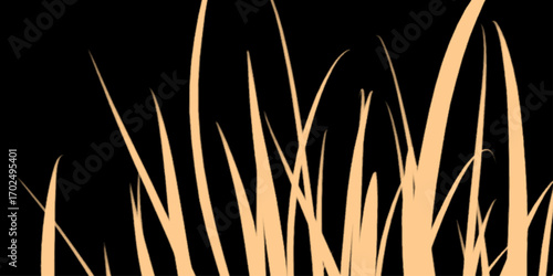 Abstract looking remains of a desert plant in high contrast Grass moving gently in the wind, looped in 3D rendering with an alpha channel, White texture abstract on black background, bird feather 