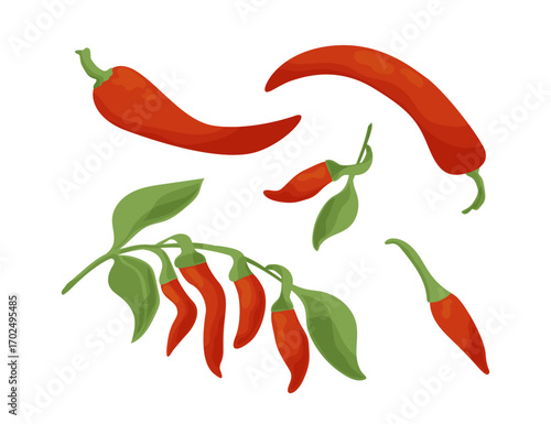 Chili hot pepper icon set. Fresh red cayenne peppers. Hot food spices. Flat vector illustration on a whitee background.