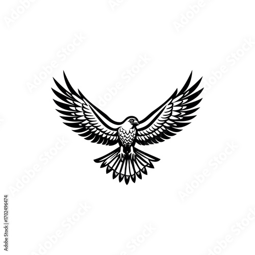 Monochrome drawing of a falcon with extended wings, vector illustration of bird