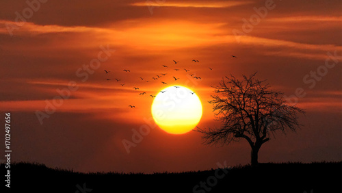 website background photo