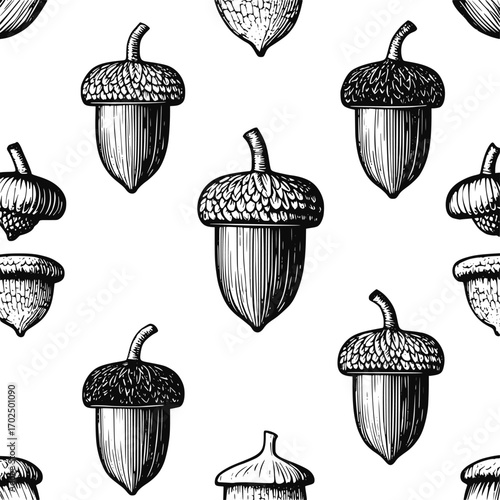 Vintage style pattern with acorns. Isolated acorns on white background