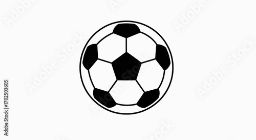 Classic Black and White Hexagonal Panel Soccer Ball Design.