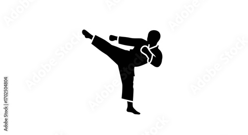 Black silhouette of a martial artist performing a high kick.
