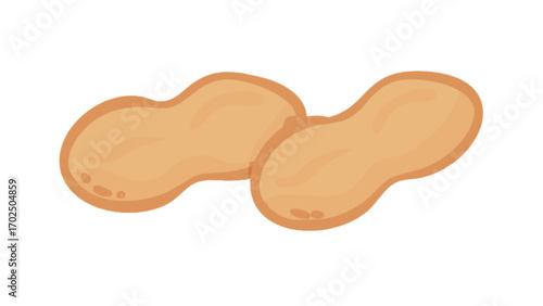 Delicious peanuts vector illustration for healthy snack, food, and nutrition related designs and graphics