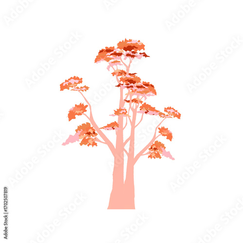 illustration of aspen tree without background