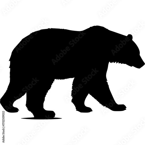 Black bear silhouette vector illustration wildlife animal predator art