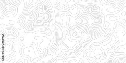 Topography background. Vector banner. Topography map background. Vector geographic contour map. Background of the topographic map. Topographic map lines, contour background. 