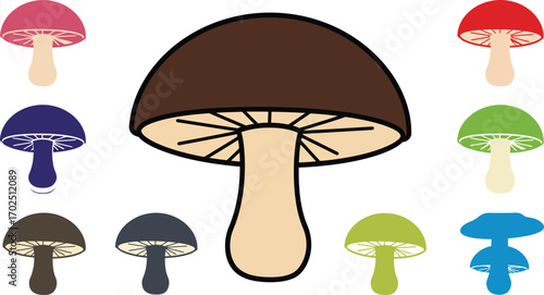 colorful mushrooms arranged around a central large mushroom