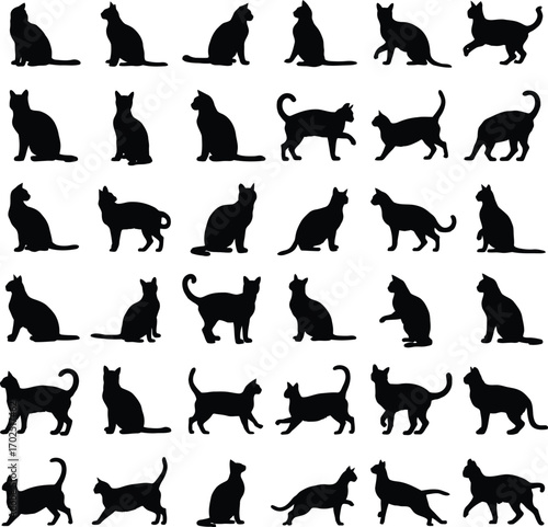Cat Silhouette Grid – Black Vector Set of 36 Feline Poses for Pet, Animal Behavior, and Minimalist Graphic Design Use