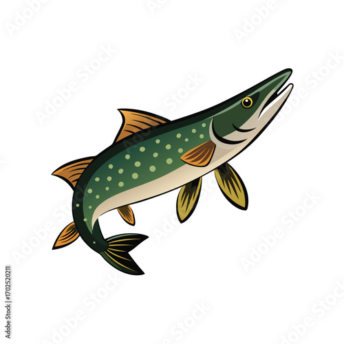 Illustration of a green pike fish with spots