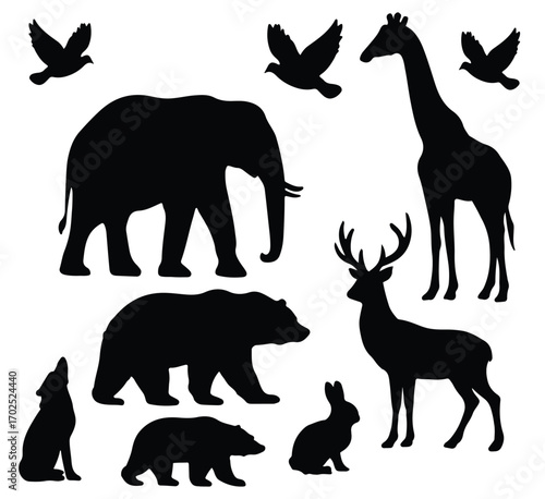 Mix animal on white background