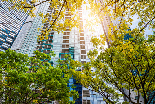 Quadro su tela Modern skyscrapers rise behind lush green trees, symbolizing sustainable urban development and ESG values