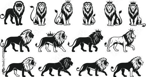 Lion vector illustration set with crowns, royal heraldic design, majestic wildlife animal art, standing and walking poses for branding and decoration