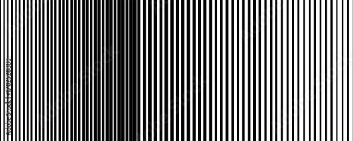 Thin line halftone gradient texture. Fading vertical stripe gradation background. Repeating wide pattern backdrop. Black parallel lines wallpaper for overlay, print, cover, banner, poster. Eps10