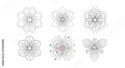 Delicate intricate floral mandala designs with radial symmetry for decorative applications or tattoo art inspirations