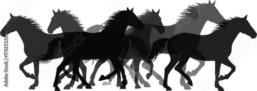 Majestic horses running wild and free in silhouette, perfect for adding a touch of untamed beauty and power to any design that needs a dynamic, striking element