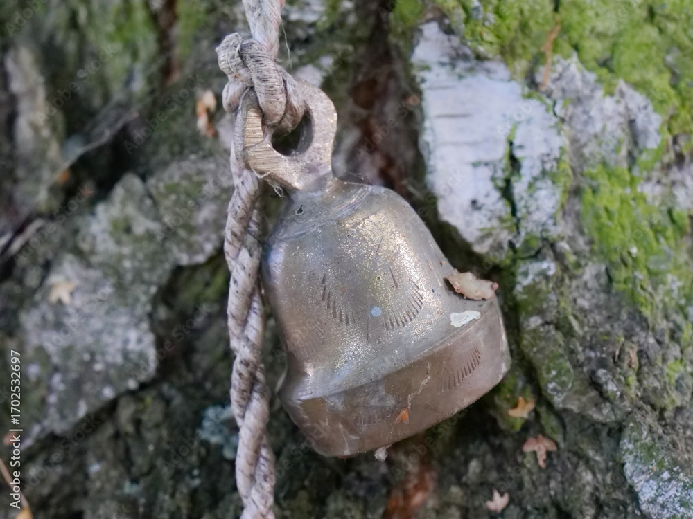 Fototapeta premium small old bell on a rope, trunk of a birch tree