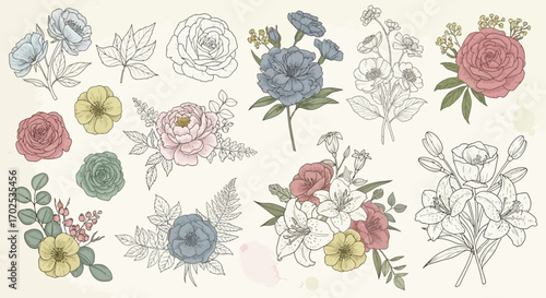 Collection of detailed floral illustrations, featuring various flower types with intricate line art and color.