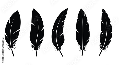 Five black feathers isolated on white background, each with a unique shape and texture, creating a visually appealing and minimalist composition