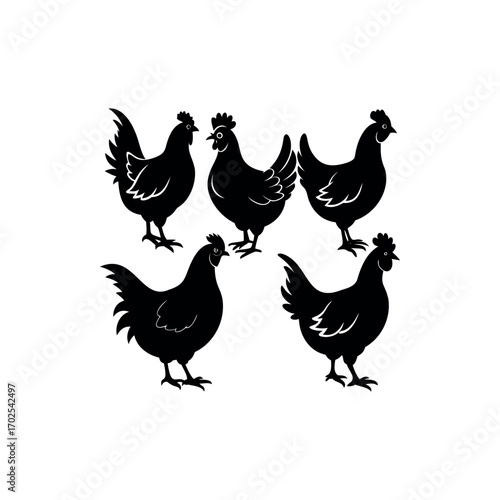 Five silhouette chickens showcasing diverse poses and feather patterns in black and white