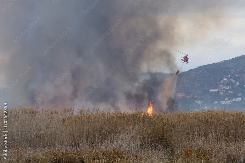Fototapeta premium HELICOPTERO EN VUELO CON UNA CESTA DE AGUA PARA SOFOCAR UN INCENDIO