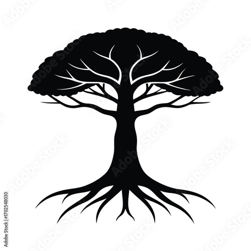 Majestic banyan tree silhouette with intricate root system illustration