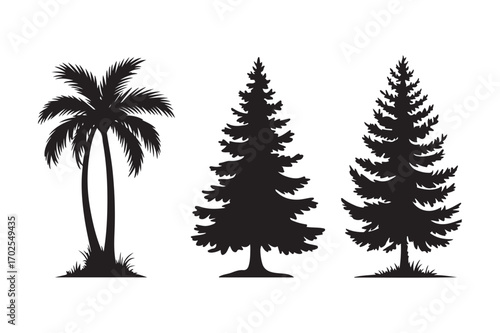 Silhouettes of a palm tree and two pine trees on a white background