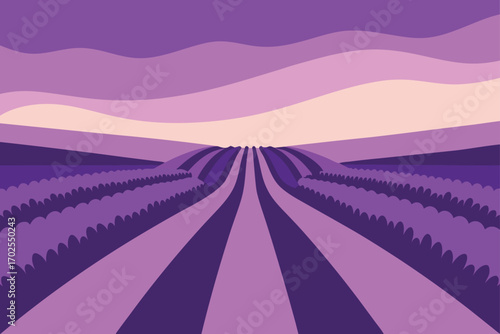 Lavender Field Stretching to Horizon