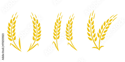 Transparent PNG available
Wheats ears icon set and wheat design elements flat line vector collection isolated on transparent background. Harvest wheat grain, growth rice stalk and whole bread grains o