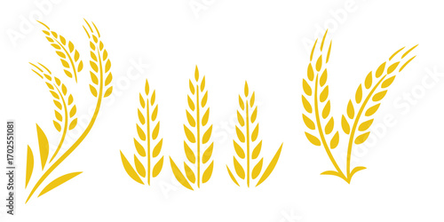 Transparent PNG available
Wheats ears icon set and wheat design elements flat line vector collection isolated on transparent background. Harvest wheat grain, growth rice stalk and whole bread grains o
