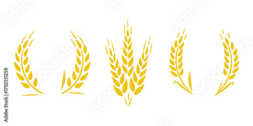 Transparent PNG available
Wheats ears icon set and wheat design elements flat line vector collection isolated on transparent background. Harvest wheat grain, growth rice stalk and whole bread grains o