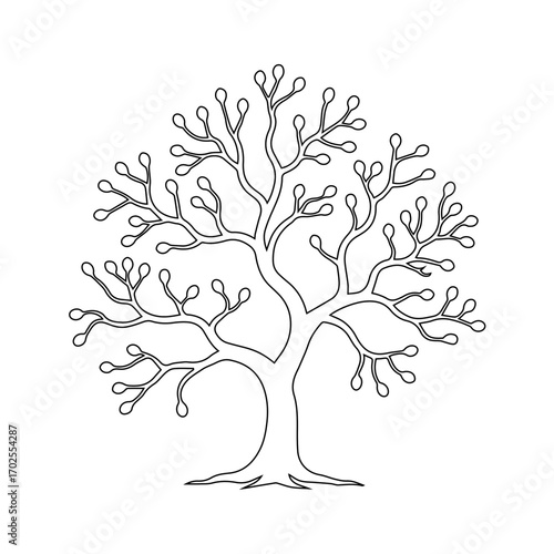 Stylized outline of a tree with branching limbs and small rounded buds