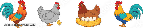 Roosters, hens, chick with nest and eggs, colorful farm bird collection, poultry animal design, countryside livestock concept, CAD drawing flat vector illustration