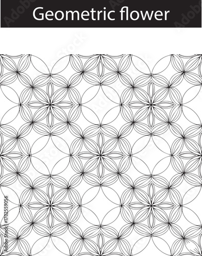 Real estate  Geometric flower  design