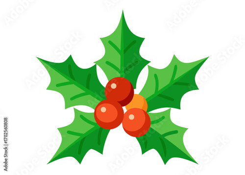 Stylized Holly Berry Sprig with Green Leaves for Christmas Decoration on white background