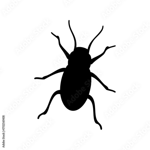 Silhouette of a Beetle or Roach with Prominent Antennae and Legs