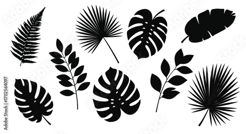 Silhouette of tropical leaves isolated on white background a collection of various leaf shapes and sizes, creating a visually appealing botanical arrangement