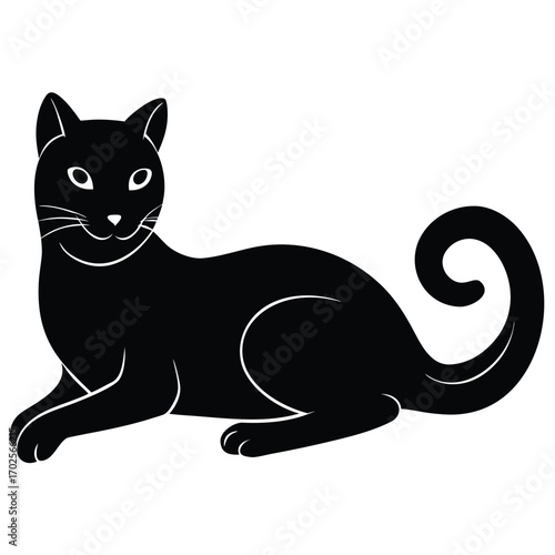 Black cat with curled tail lying down on a white background feline animal