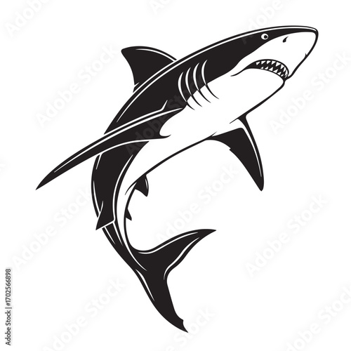 A menacing shark illustration, isolated on white background, with sharp teeth and powerful fins, symbolizing danger and the ocean