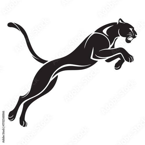 Black panther jumping, isolated on white background