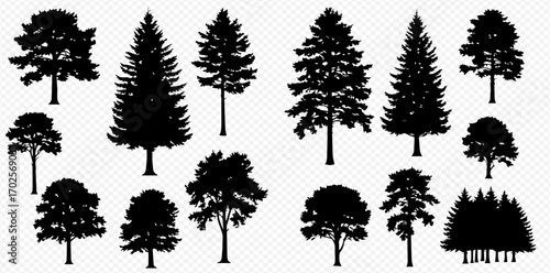 A collection of diverse tree silhouettes, showcasing various shapes and sizes of both deciduous and coniferous species.