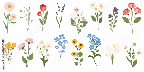 Wallpaper Mural A collection of delicate hand drawn wildflowers and garden blooms in various colors and styles Torontodigital.ca